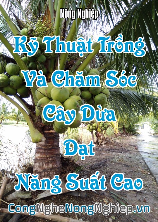 Ảnh bìa sách Kỹ Thuật Trồng Và Chăm Sóc Cây Dừa Đạt Năng Suất Cao