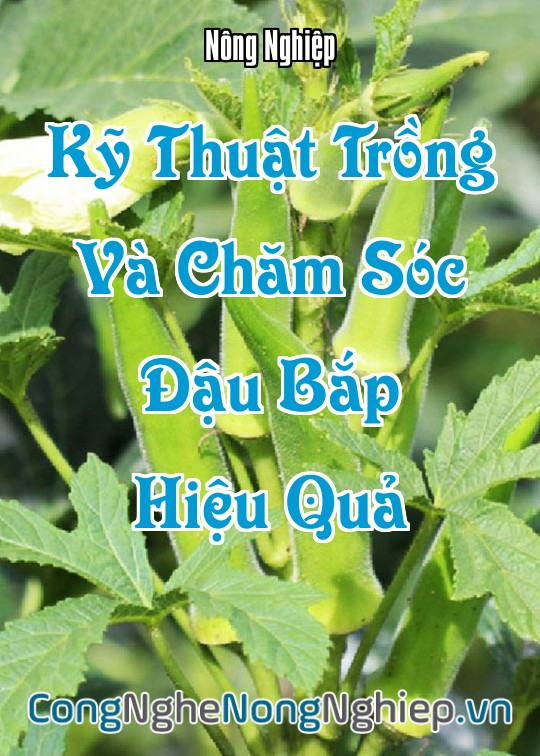 Ảnh bìa sách Kỹ Thuật Trồng Và Chăm Sóc Đậu Bắp Hiệu Quả