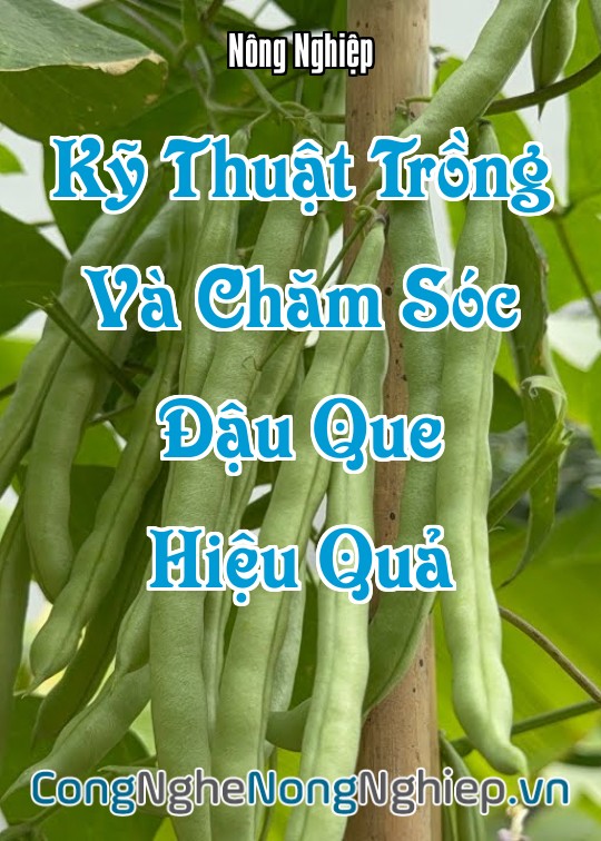 Ảnh bìa sách Kỹ Thuật Trồng Và Chăm Sóc Đậu Que Hiệu Quả
