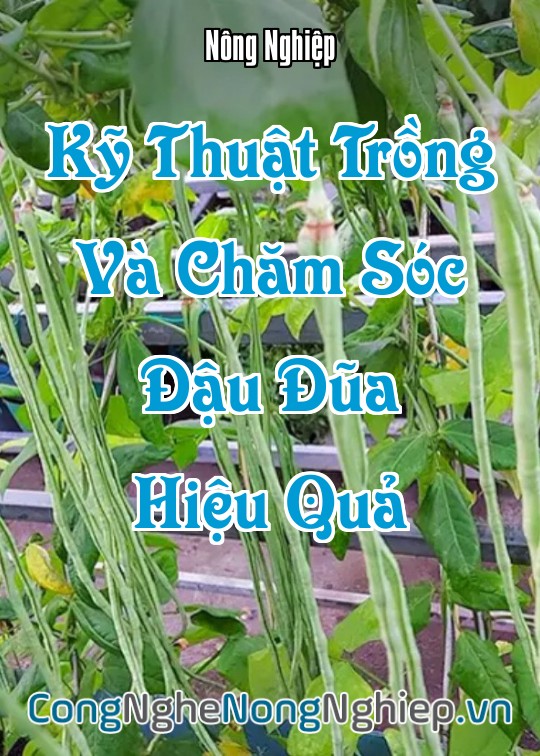 Ảnh bìa sách Kỹ Thuật Trồng Và Chăm Sóc Đậu Đũa Hiệu Quả