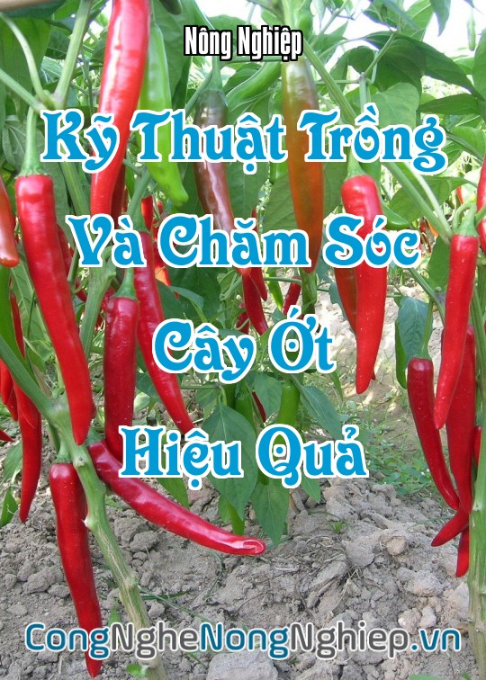 Ảnh bìa sách Kỹ Thuật Trồng Và Chăm Sóc Cây Ớt Hiệu Quả
