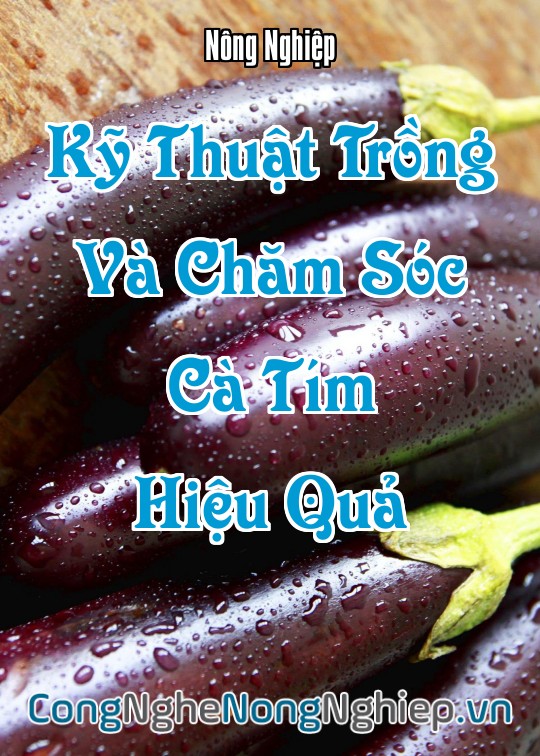 Ảnh bìa sách Kỹ Thuật Trồng Và Chăm Sóc Cà Tím Hiệu Quả