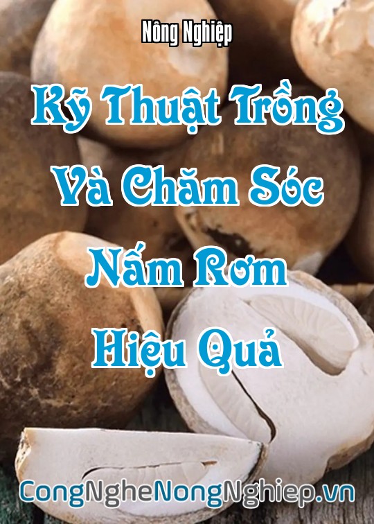 Ảnh bìa sách Kỹ Thuật Trồng Và Chăm Sóc Nấm Rơm Hiệu Quả