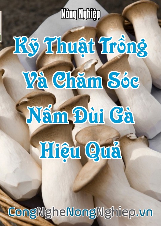 Ảnh bìa sách Kỹ Thuật Trồng Và Chăm Sóc Nấm Đùi Gà (King Oyster Mushroom) Hiệu Quả