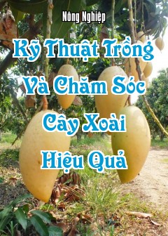 Ảnh Kỹ Thuật Trồng Và Chăm Sóc Cây Xoài Hiệu Quả