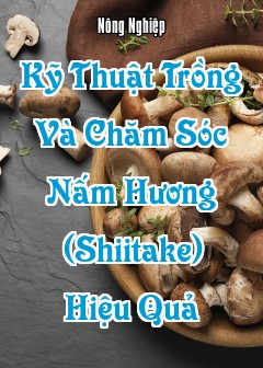 Ảnh Kỹ Thuật Trồng Và Chăm Sóc Nấm Hương (Shiitake) Hiệu Quả