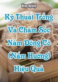 Kỹ Thuật Trồng Và Chăm Sóc Nấm Đông Cô (Nấm Hương) Hiệu Quả