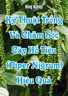 Ảnh Kỹ Thuật Trồng Và Chăm Sóc Cây Hồ Tiêu (Piper Nigrum) Hiệu Quả