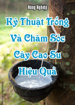 Kỹ Thuật Trồng Và Chăm Sóc Cây Cao Su (Hevea Brasiliensis) Hiệu Quả