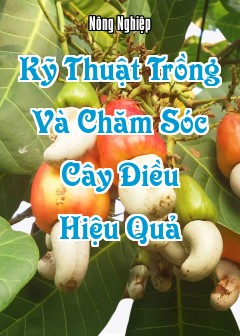 Kỹ Thuật Trồng Và Chăm Sóc Cây Điều (Anacardium Occidentale) Hiệu Quả