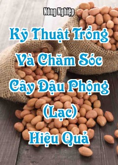 Kỹ Thuật Trồng Và Chăm Sóc Cây Đậu Phộng (Lạc) Hiệu Quả