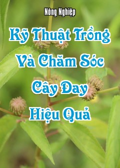 Kỹ Thuật Trồng Và Chăm Sóc Cây Đay (Corchorus Olitorius/capsularis) Hiệu Quả