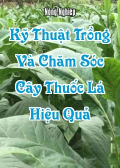 Kỹ Thuật Trồng Và Chăm Sóc Cây Thuốc Lá (Nicotiana Tabacum) Hiệu Quả