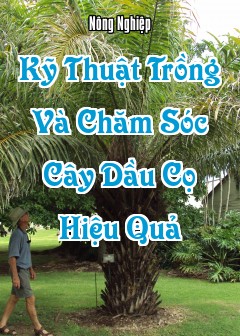 Kỹ Thuật Trồng Và Chăm Sóc Cây Dầu Cọ (Elaeis Guineensis) Hiệu Quả