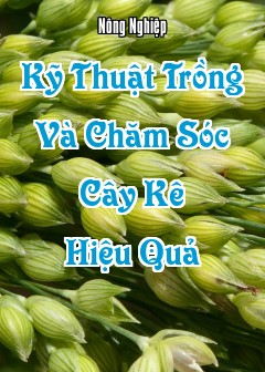 Kỹ Thuật Trồng Và Chăm Sóc Cây Kê (Panicum Miliaceum) Hiệu Quả
