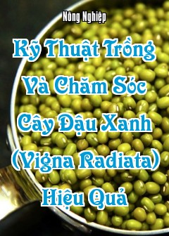 Kỹ Thuật Trồng Và Chăm Sóc Cây Đậu Xanh (Vigna Radiata) Hiệu Quả