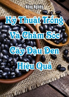 Kỹ Thuật Trồng Và Chăm Sóc Cây Đậu Đen (Vigna Unguiculata Subsp. Cylindrica) Hiệu Quả