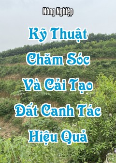 Ảnh Kỹ Thuật Chăm Sóc Và Cải Tạo Đất Canh Tác Hiệu Quả