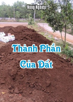 Ảnh Thành Phần Của Đất