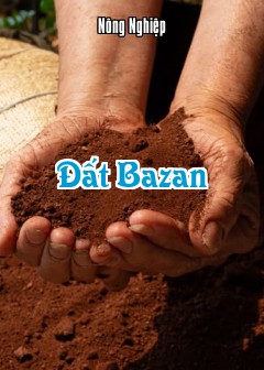 Ảnh Đất Bazan