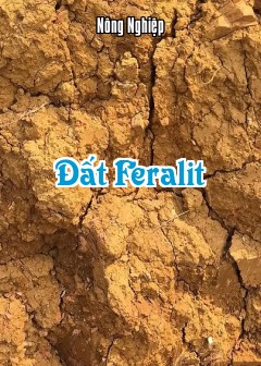 Đất Feralit
