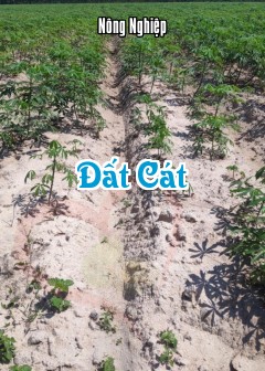 Đất Cát