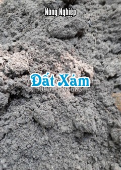 Đất Xám