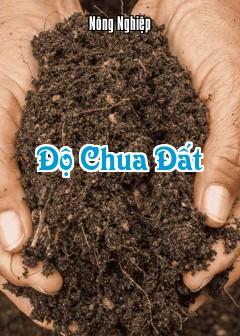 Độ Chua Đất