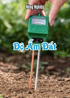 Độ Ẩm Đất
