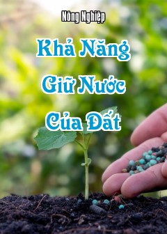Khả Năng Giữ Nước Của Đất