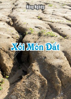 Xói Mòn Đất