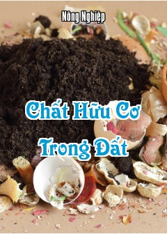 Ảnh Chất Hữu Cơ Đất
