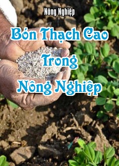 Bón Thạch Cao Trong Nông Nghiệp