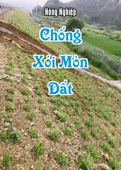 Chống Xói Mòn Đất