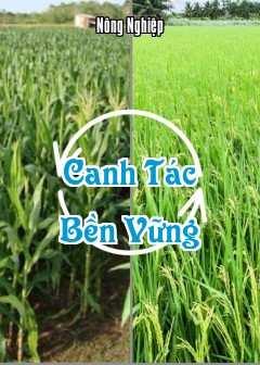 Canh Tác Bền Vững
