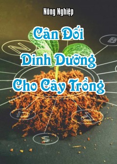 Cân Đối Dinh Dưỡng Cho Cây Trồng