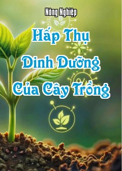 Hấp Thụ Dinh Dưỡng Của Cây Trồng