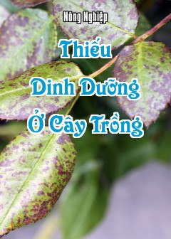 Thiếu Dinh Dưỡng Ở Cây Trồng