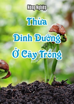 Ảnh Thừa Dinh Dưỡng Ở Cây Trồng