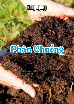Ảnh Phân Chuồng