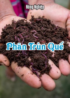 Ảnh Phân Trùn Quế