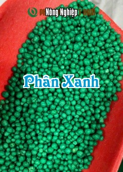 Ảnh Phân Xanh
