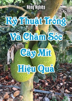Kỹ Thuật Trồng Và Chăm Sóc Cây Mít Hiệu Quả
