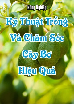 Kỹ Thuật Trồng Và Chăm Sóc Cây Bơ Hiệu Quả