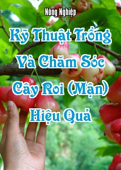Kỹ Thuật Trồng Và Chăm Sóc Cây Roi (Mận) Hiệu Quả