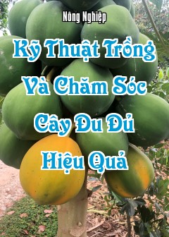 Kỹ Thuật Trồng Và Chăm Sóc Cây Đu Đủ Hiệu Quả
