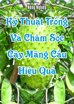 Kỹ Thuật Trồng Và Chăm Sóc Cây Mãng Cầu Hiệu Quả