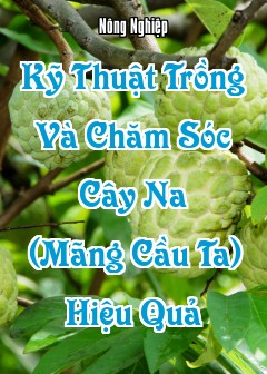 Kỹ Thuật Trồng Và Chăm Sóc Cây Na (Mãng Cầu Ta) Hiệu Quả