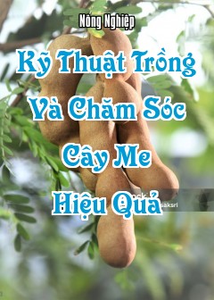Kỹ Thuật Trồng Và Chăm Sóc Cây Me Hiệu Quả