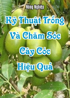 Kỹ Thuật Trồng Và Chăm Sóc Cây Cóc Hiệu Quả